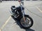 2024 HARLEY-DAVIDSON SOFTAIL Base