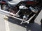 2024 HARLEY-DAVIDSON SOFTAIL Base